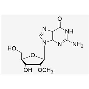 2'-O-Me-Guanosine;2'-OMe-G