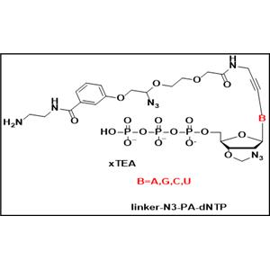 Linker-N3-PA-dNTP