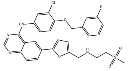 Lapatinib