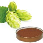 Hop Extract Powder