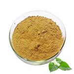 Mulberry Leaf Extract Powder