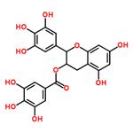 tea polyphenol