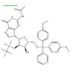 5’-O-DMT-2’-O-TBDMS-N2-Acetyl-Guanosine