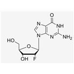 2'-F-2'-deoxyguanosine；2‘-F-dG