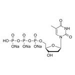 dTTP-trisodium-salt