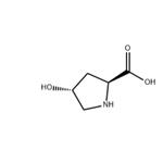 L-Hydroxyproline