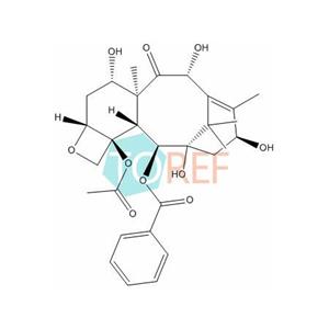 Paclitaxel Impurity 19