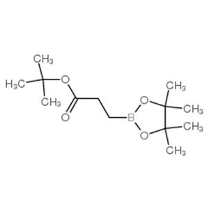 tert-Butyl 3-(4,4,5,5-tetramethyl-1,3,2-dioxaborolan-2-yl)propanoate