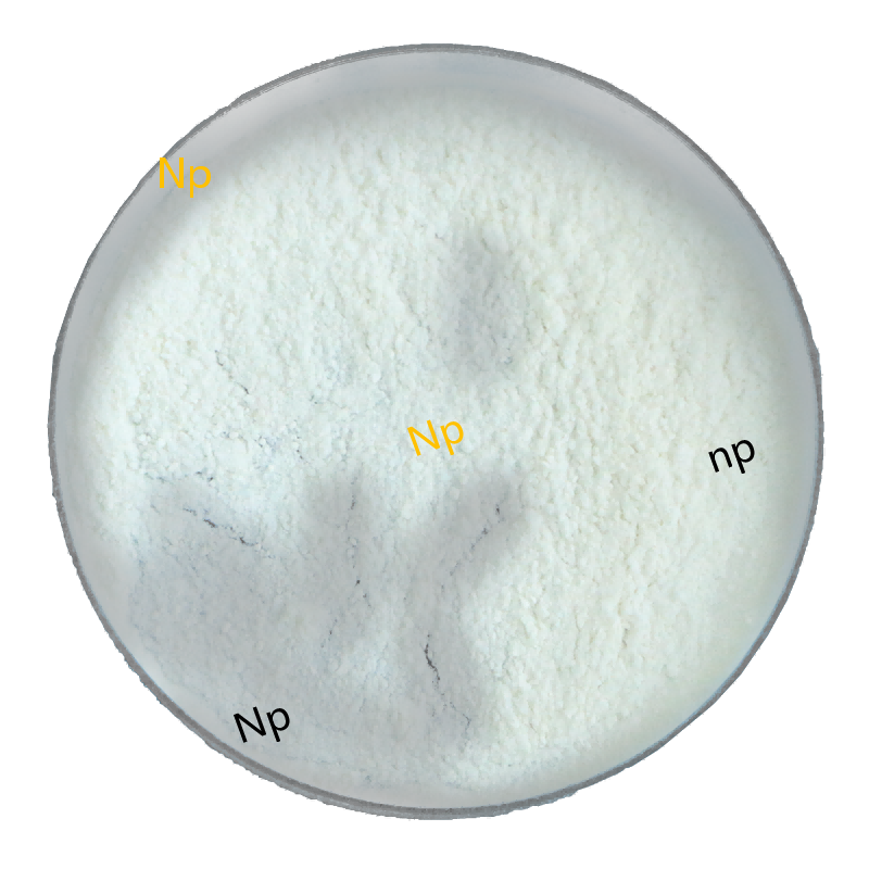 Nandrolone 17-propionate