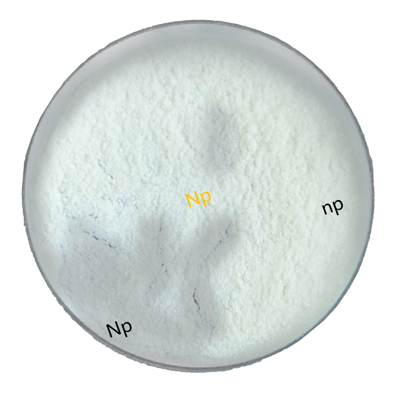 Nandrolone Propionate