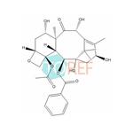 Paclitaxel Impurity 19