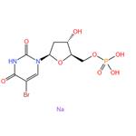 5-Bromo-2'-deoxy-5'-uridylic acid disodium salt