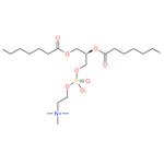 1,2-distearoyl-sn-glycero-3-phosphocholine