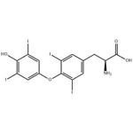 L-Thyroxine