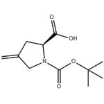 (S)-4-METHYLENE-PYRROLIDINE-1,2-DICARBOXYLIC ACID 1-TERT-BUTYL ESTER