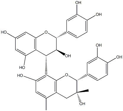 Grape Seed Extract