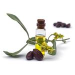 JOJOBA OIL