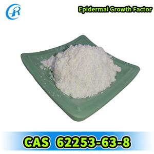 Epidermal Growth Factor