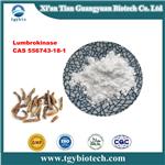 Lumbrokinase