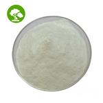 Coconut Milk Powder