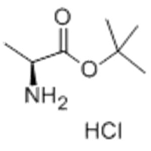 L-Ala-OtBu·HCl