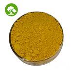 lemon balm extract