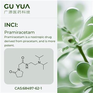 pramiracetam