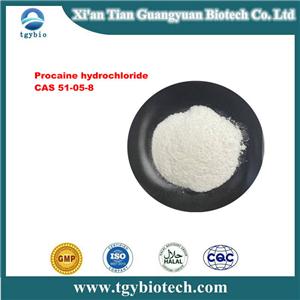 Procaine hydrochloride