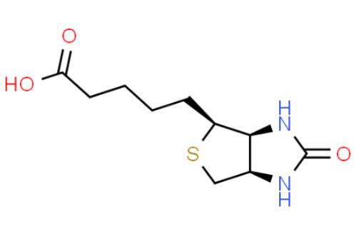 Vitamin H