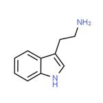 61-54-1 Tryptamine