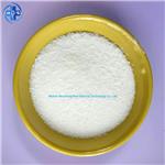 CYTIDINE 5'-PHOSPHATE, SODIUM SALT