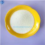 SODIUMDIHYDROPHOSPHATE