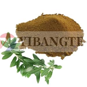 JUNIPERUS COMMUNIS FRUIT EXTRACT