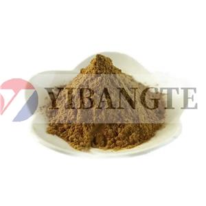 PINUS SYLVESTRIS CONE EXTRACT