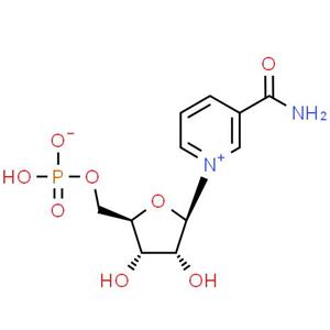 Nicotinamide mononucleotide