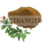 JUNIPERUS COMMUNIS FRUIT EXTRACT