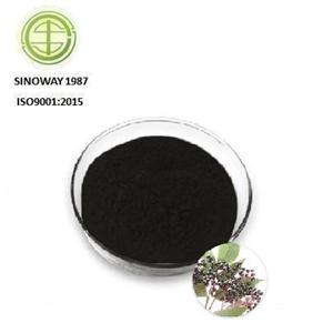 Elderberry Extract