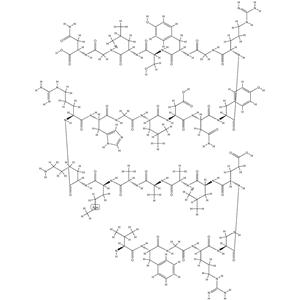 Lysozyme