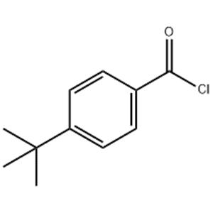 4-tert-Butylbenzoyl chloride