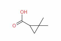 2,2-Dimethylcyclopropanecarboxylic acid