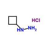 Cyclobutylhydrazine hydrochloride (1:1) pictures