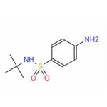 N-tert-Butyl-4-aminobenzenesulfonamide