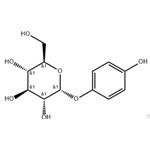 84380-01-8 α-Arbutin 