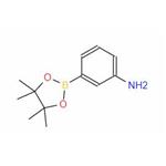 3-Aminophenylboronic acid pinacol ester