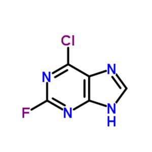 6-Chloro-2-fluoropurine