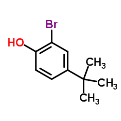 2-Bromo-4-tert-butylphenol