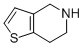 4,5,6,7-Tetrahydrothieno[3,2-c]pyridine (hydrochloride)