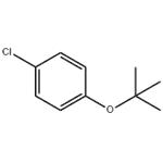 1-tert-Butoxy-4-chlorobenzene