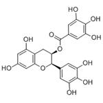 (-)-Epigallocatechin gallate