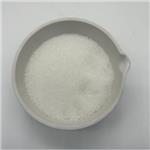 Procaine hydrochloride